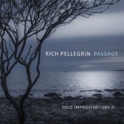 Rich Pellegrin - Passage: Solo Improvisations II (2022) Hi Res