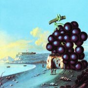 Moby Grape - Wow (Remastered) (1968/2007)