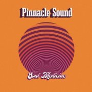Pinnacle Sound - Soul Medicine (2021) [Hi-Res]
