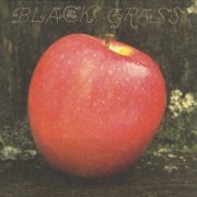 Little Wings - Black Grass (Re-Issue) (2015)