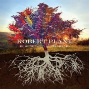 Robert Plant - Digging Deep: Subterranea (2020) [MQA]