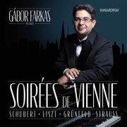 Gábor Farkas - Soirées de Vienne (2022) [Hi-Res]