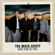 The Mojo Roots - What Kind of Fool (2013)