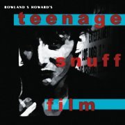 Rowland S. Howard - Teenage Snuff Film (2020) [Hi-Res]