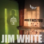 Jim White - Where It Hits You (2012)