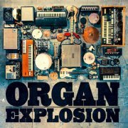 Organ Explosion - Organ Explosion (2014) [Hi-Res]