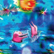 Anteloper - Pink Dolphins (2022) [Hi-Res]