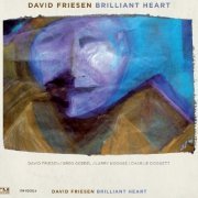 David Friesen - Brilliant Heart (2013)