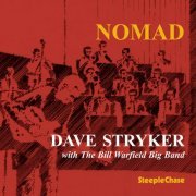 Dave Stryker - Nomad (1995) FLAC