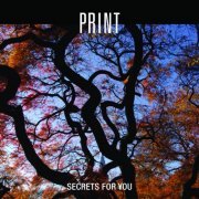 Print, Sylvain Cathala - Secrets for You (2024) [Hi-Res]