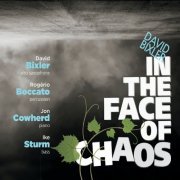 David Bixler - In the Face of Chaos (feat. Rogério Boccato, Jon Cowherd, & Ike Sturm) (2019)