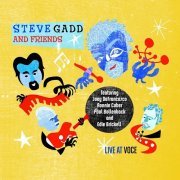 Steve Gadd and Friends - Live at Voce (2010)