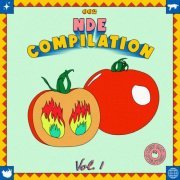 VA - NDE Compilation 002 Vol​.​1 (2022)