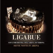 Ligabue - Sette notti in Arena (2009)
