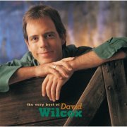 David Wilcox - The Very Best Of David Wilcox (2001)