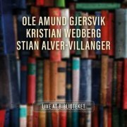 Ole Amund Gjersvik - Live At Biblioteket (2023)