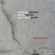Gordon Grdina Mark Helias Matthew Shipp - Pathways (2022) [Hi-Res]