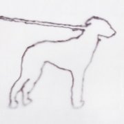 Jonah Yano - portrait of a dog (2023) Hi Res