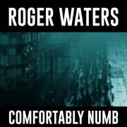 Roger Waters - Comfortably Numb 2022 (2022) [Hi-Res]
