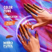 VA - COLOR FUNK Compilation (2022)