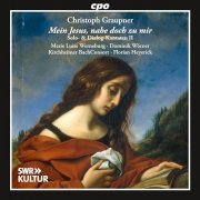 Kirchheimer BachConsort, Florian Heyerick, Marie Luise Werneburg, Dominik Wörner - Christoph Graupner: Solo & Dialogue Cantatas II (2024)