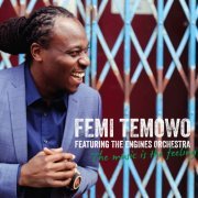 Femi Temowo - The Music Is the Feeling (2016)