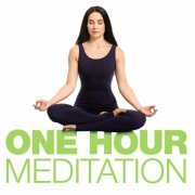 VA - One Hour Meditation (2022)