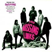 The Missing Links – Driving You Insane (1999)