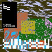 Beau Zwart - Strings of Symbiose (2024) Hi Res