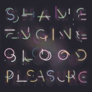 Health&Beauty - Shame Engine / Blood Pleasure (2019) [HI-Res]