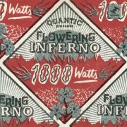 Quantic, Flowering Inferno - 1000 Watts (2016) [Hi-Res]