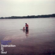 Hospital Ships - Destruction in Yr Soul (2013)