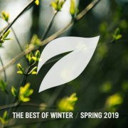 VA - The Best of Winter/Spring 2019 (2019)