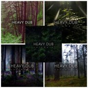 VA - Heavy Dub Vol. 1-5 (2016-2020)