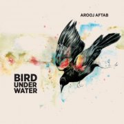 Arooj Aftab - Bird Under Water (2014)
