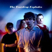 The Teardrop Explodes - Collection (1980-2007)