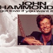 John Hammond - Got Love If You Want It (1992)