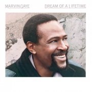 Marvin Gaye - Dream Of A Lifetime (1985)