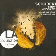 Anne Gastinel - Schubert: Arpeggione, Sonatina & Lieder Transcriptions (2005)