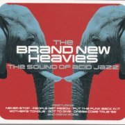 The Brand New Heavies - The Sound of Acid Jazz (2014)