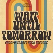 Various Artists - Wait Until Tomorrow: Groovy Garage Rock Records (2024)