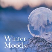 Daniel Hope, Andreas Ottensamer & Albrecht Mayer - Winter Moods (2020)