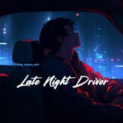 VA - Late Night Driver (2024)