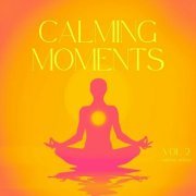 VA - Calming Moments, Vol. 2 (2024)