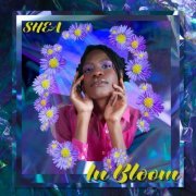 Shea - In Bloom (2024) Hi-Res