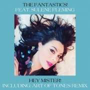 The Fantastics! - Hey Mister! (2021) [Hi-Res]