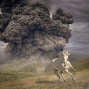 The White Buffalo - Year Of The Dark Horse (2022) [Hi-Res]