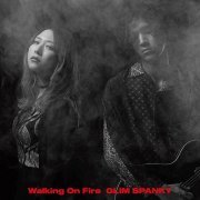 GLIM SPANKY - Walking On Fire (Limited Edition) (2020)