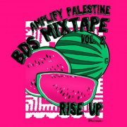 VA - Rise Up: BDS Mixtape Vol. 2 (2023)