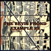 The Bevis Frond - Example 22 (2015)